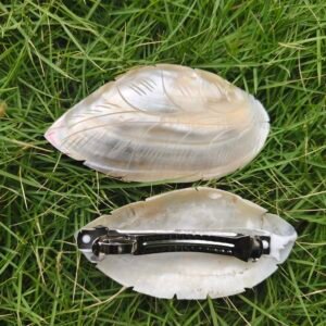Sea Shell Accessories